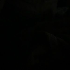 Meet your Posher, Conor